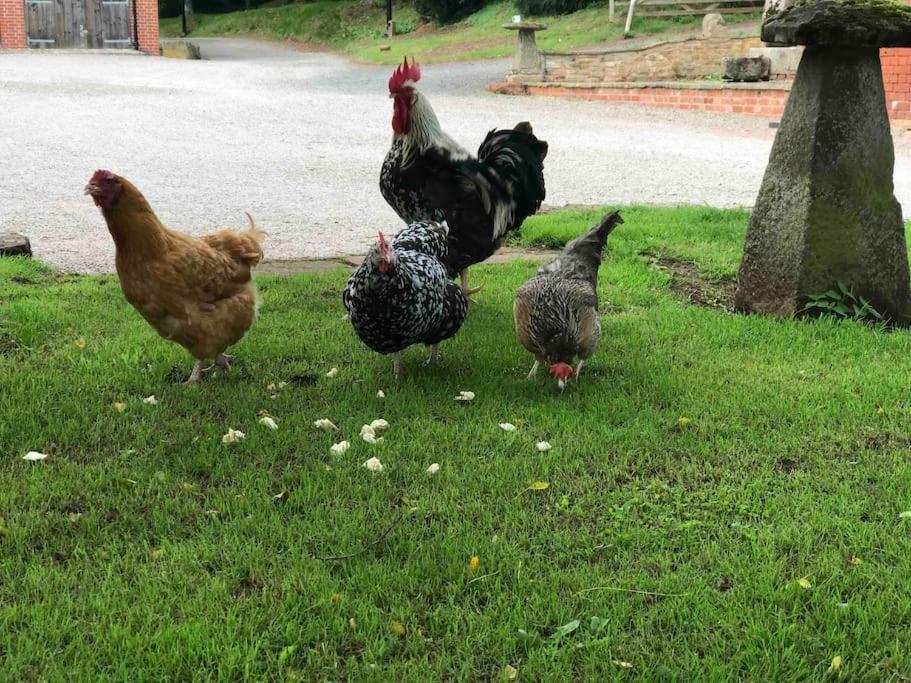 نيوينت Stunning Rural Apartment, Walking Distance To Three Choirs Vineyard & Restaurant, Gloucestershire المظهر الخارجي الصورة